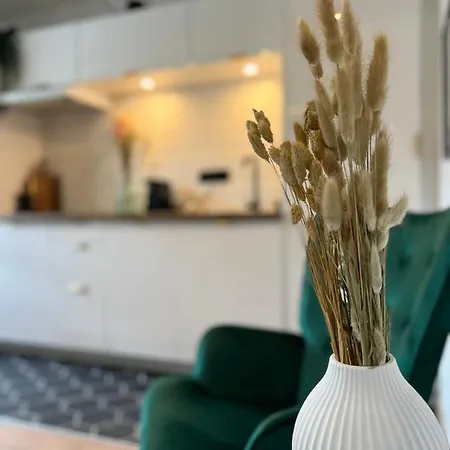 Studio Classe Haut De Gamme-metz Gare *