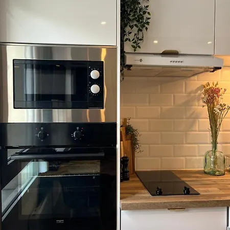 Studio Classe Haut De Gamme-metz Gare Apartment Metz