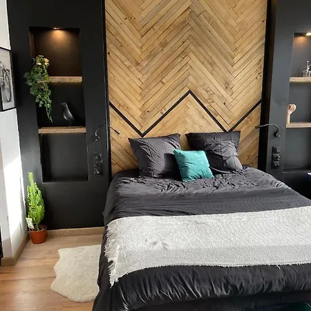 Studio Classe Haut De Gamme-metz Gare Apartment
