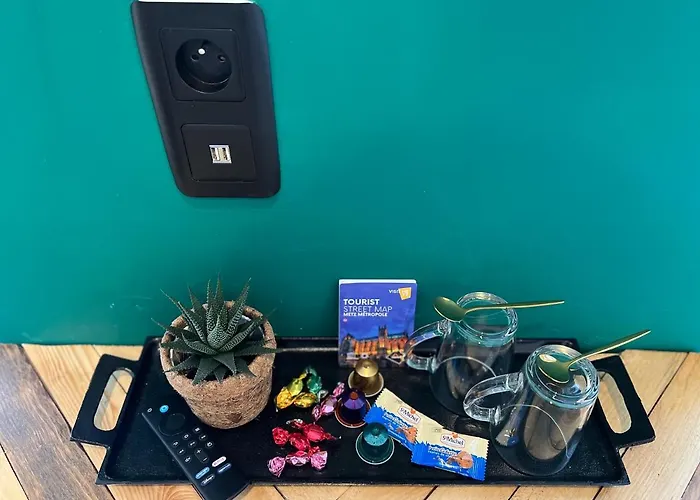 דירה Studio Classe Haut De Gamme-metz Gare מץ